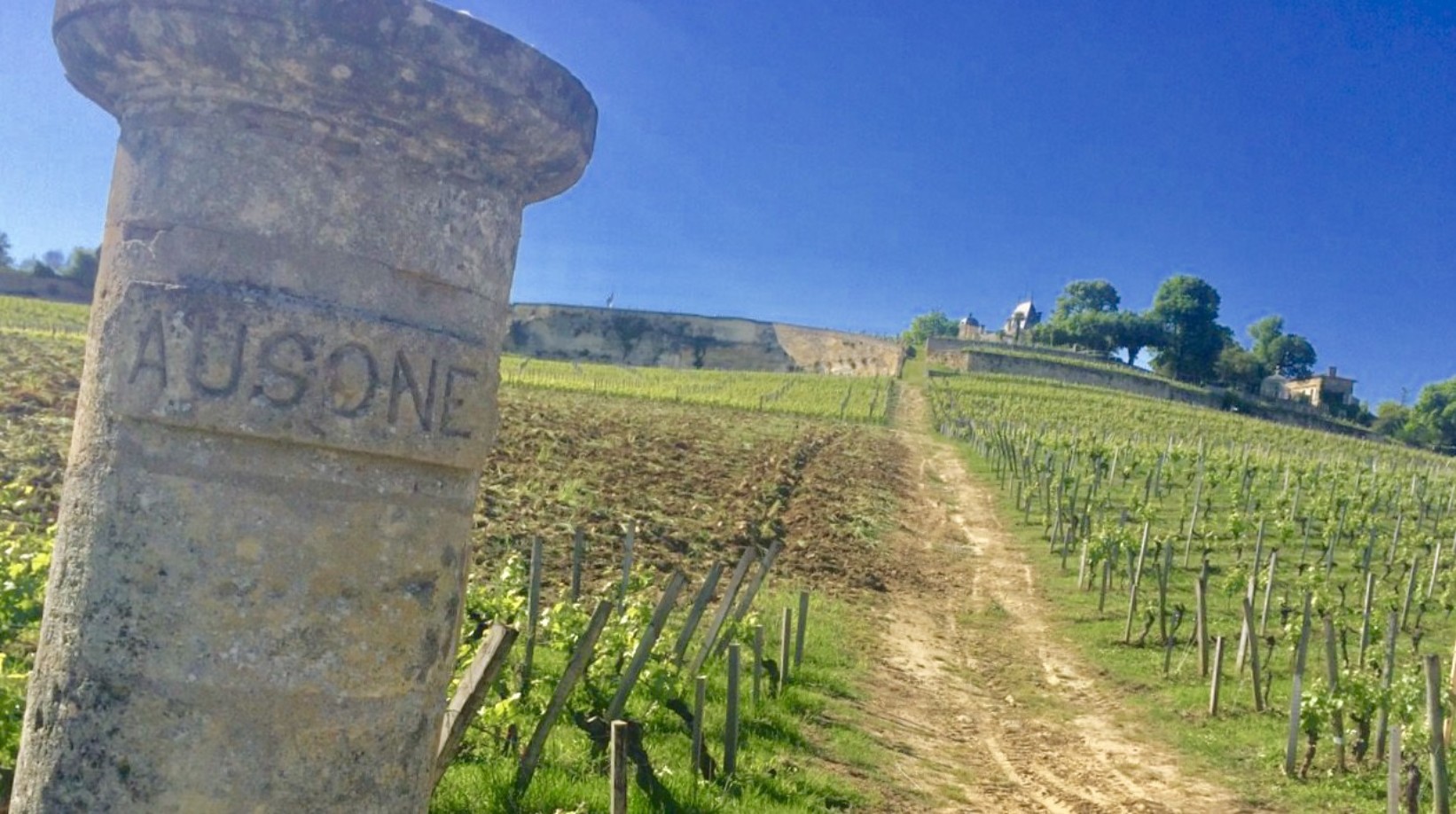 Bordeaux 2016 Right Bank Michel Thibault Wine