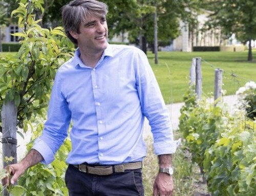 Wine & Mythology: Cheval Blanc’s Pierre-Olivier Clouet shares his perspective